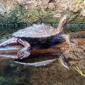 Meet your Posher, Fred